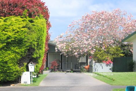 Photo of property in 9 Wiseley Place, Morrinsville, 3300