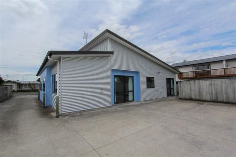 Photo of property in 55 York Street, Hamilton East, Hamilton, 3216
