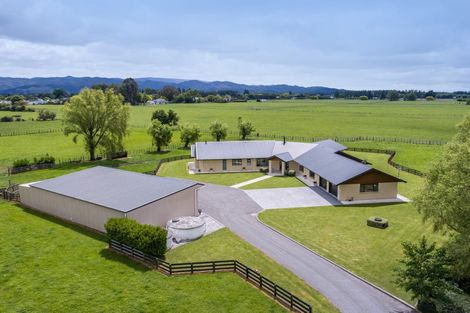 Photo of property in 2/53 Jellicoe Street, Greytown, 5712