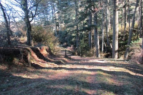 Photo of property in 6339 Matawai Road, Matawai, 4075