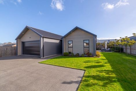 Photo of property in 6 Farley Avenue, Greytown, 5712