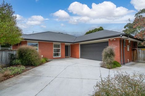 Photo of property in 1b Moule Street, Addington, Christchurch, 8024