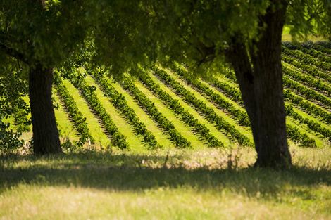 Photo of property in 52 Saddler Road, Muriwai, Gisborne, 4072