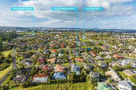 Photo of property in 44 Roy Maloney Drive, Henderson, Auckland, 0612