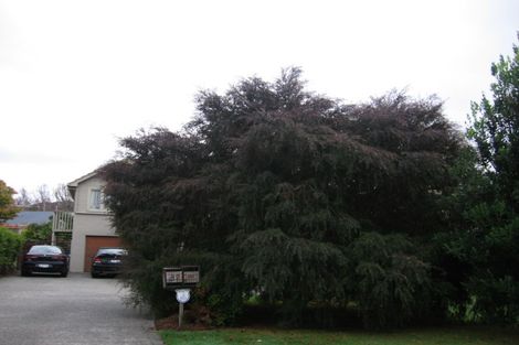 Photo of property in 37 Pohutukawa Street, Woburn, Lower Hutt, 5010