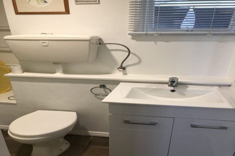 Photo of property in 45a Anglesea Street, Freemans Bay, Auckland, 1011