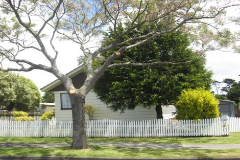 Photo of property in 129 Finlayson Avenue, Clendon Park, Auckland, 2103