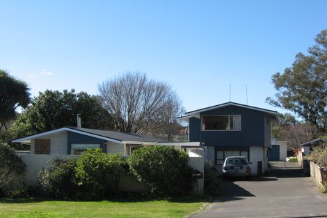 Photo of property in 45 Plassey Street, Havelock North, 4130