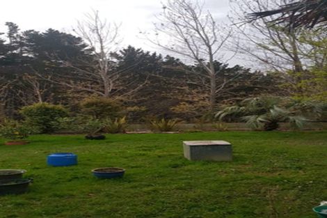 Photo of property in 482 Krippner Road, Puhoi, Warkworth, 0994