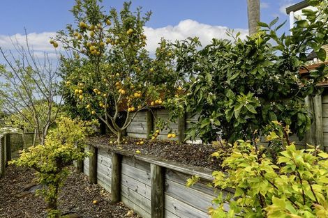 Photo of property in 31 Brodie Place, Bethlehem, Tauranga, 3110