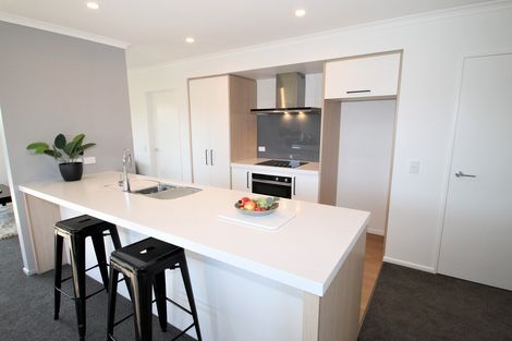 Photo of property in 8 Silverview Place, Mosgiel, 9024