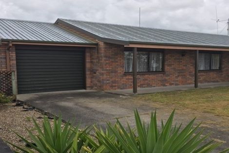 Photo of property in 29 Taylor Terrace, St Andrews, Hamilton, 3200
