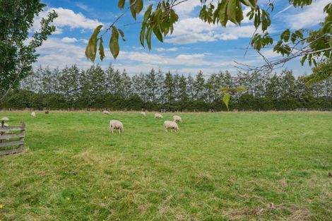 Photo of property in 232 Crow Road, Thomsons Crossing, Winton, 9781