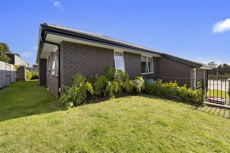 Photo of property in 11 Trans Tasman Way, Pyes Pa, Tauranga, 3112
