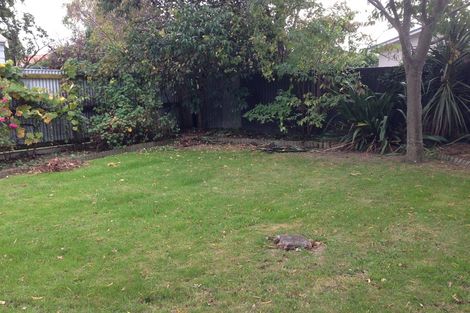 Photo of property in 58 Matipo Street, Takaro, Palmerston North, 4410