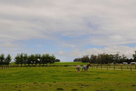 Photo of property in 36 Studholme Settlement Road, Waimate, 7979