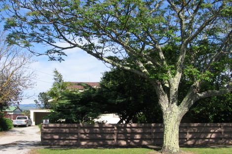 Photo of property in 146 Birrell Street, Elgin, Gisborne, 4010