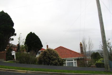 Photo of property in 111 Riselaw Road, Calton Hill, Dunedin, 9012