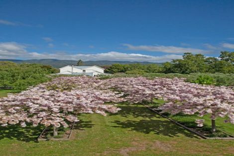 Photo of property in Tuhitarata Homestead, 2337 Kahutara Road, Pirinoa, Featherston, 5772