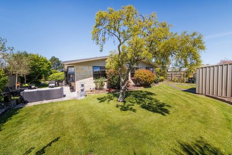 Photo of property in 8 Willowbank Crescent, Feilding, 4702