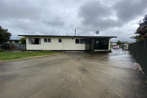 Photo of property in 20 Clyde Street, Renwick, 7204