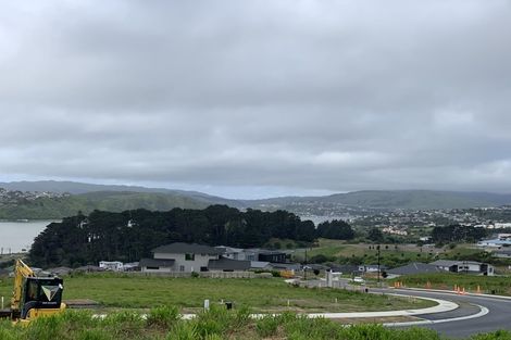 Photo of property in 66 Queen Charlotte Drive, Aotea, Porirua, 5024