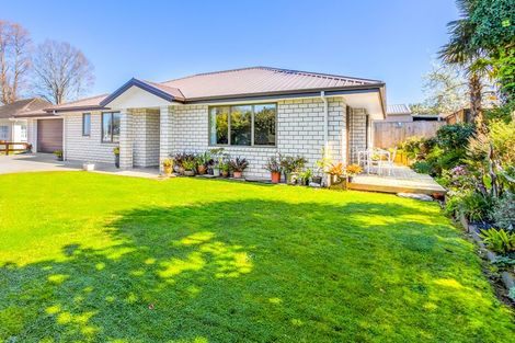 Photo of property in 103a Firth Street, Matamata, 3400