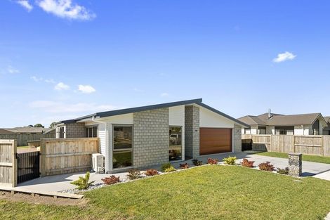 Photo of property in 6 Hoylake Place, Morrinsville, 3300