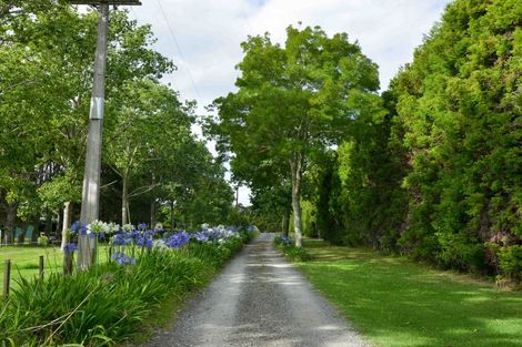 Photo of property in 202 Muriwai Valley Road, Muriwai, Waimauku, 0881