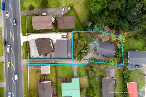 Photo of property in 176 Universal Drive, Henderson, Auckland, 0610