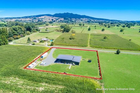 Photo of property in 51 Papesch Road, Pirongia, Te Awamutu, 3876