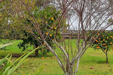 Photo of property in 91 Jumna Road, Maungaturoto, 0587