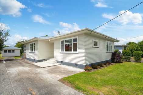 Photo of property in 95 Herbert Street, Masterton, 5810