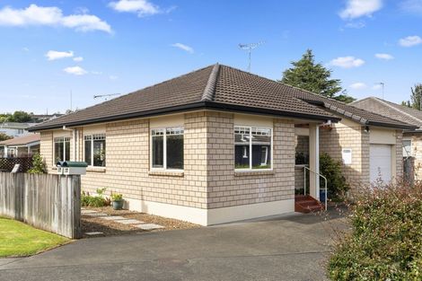 Photo of property in 42a Bellevue Road, Brookfield, Tauranga, 3110