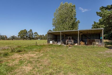 Photo of property in 246 Amberley Beach Road, Amberley, 7481