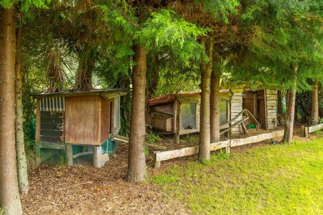 Photo of property in 7 Mangapurupuru Road, Bideford, Masterton, 5871
