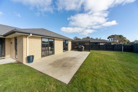 Photo of property in 13 Macdonald Heights, Feilding, 4702