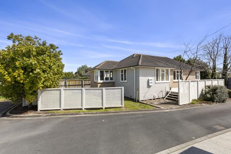 Photo of property in 124 Clarkin Road, Fairfield, Hamilton, 3214