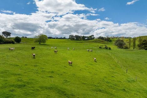 Photo of property in 51 Hinewa Road, Otumoetai, Tauranga, 3110