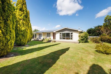 Photo of property in 226 Waughs Road, Bunnythorpe, Feilding, 4775