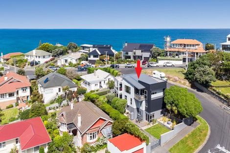 Photo of property in 109 Norfolk Street, Saint Clair, Dunedin, 9012