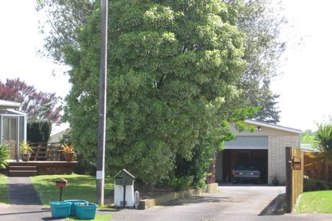 Photo of property in 10 Wiseley Place, Morrinsville, 3300