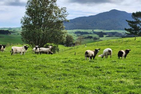 Photo of property in 697 Maungatawhiri Road, Raglan, 3295