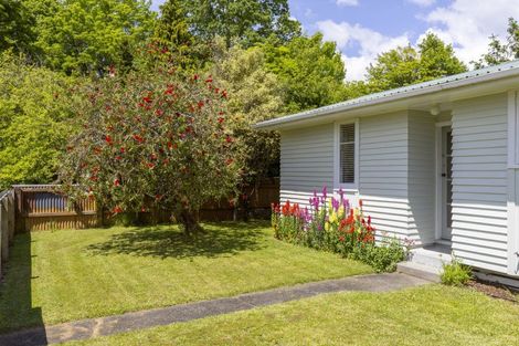 Photo of property in 41 Te Rangitautahanga Road, Turangi, 3334
