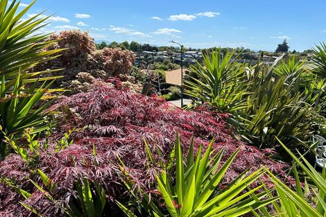 Photo of property in 10 Rochester Place, Bethlehem, Tauranga, 3110