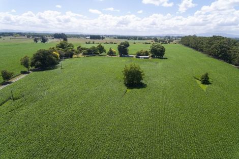 Photo of property in 127 Norrish Road, Ohaupo, 3881