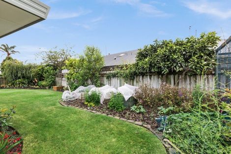Photo of property in 11 Kingsgate Avenue, Havelock North, 4130