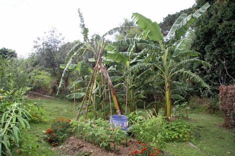 Photo of property in 308 Henderson Bay Road, Houhora, Kaitaia, 0484