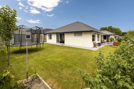 Photo of property in 15 Maeburn Street, Witherlea, Blenheim, 7201