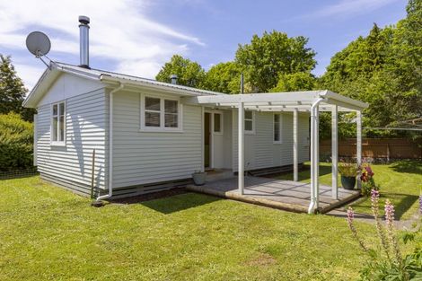 Photo of property in 41 Te Rangitautahanga Road, Turangi, 3334